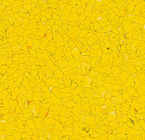 Кварцвиниловые полы Forbo  Colorex Signal SD 150231 sole фото 1 | FLOORDEALER